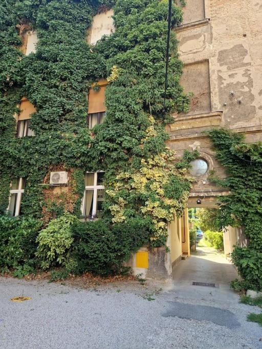 Olden House-Central Apartment-Parking Zagreb Exteriör bild